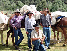 USA-California-Mustangs in the Wild
